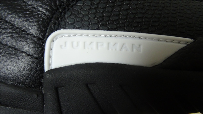 Authentic Air Jordan 12 The Master