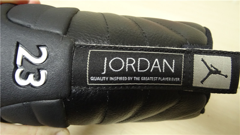 Authentic Air Jordan 12 The Master
