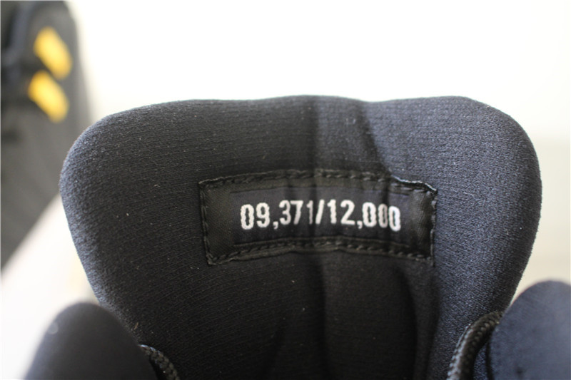 Authentic Air Jordan 12 Wings