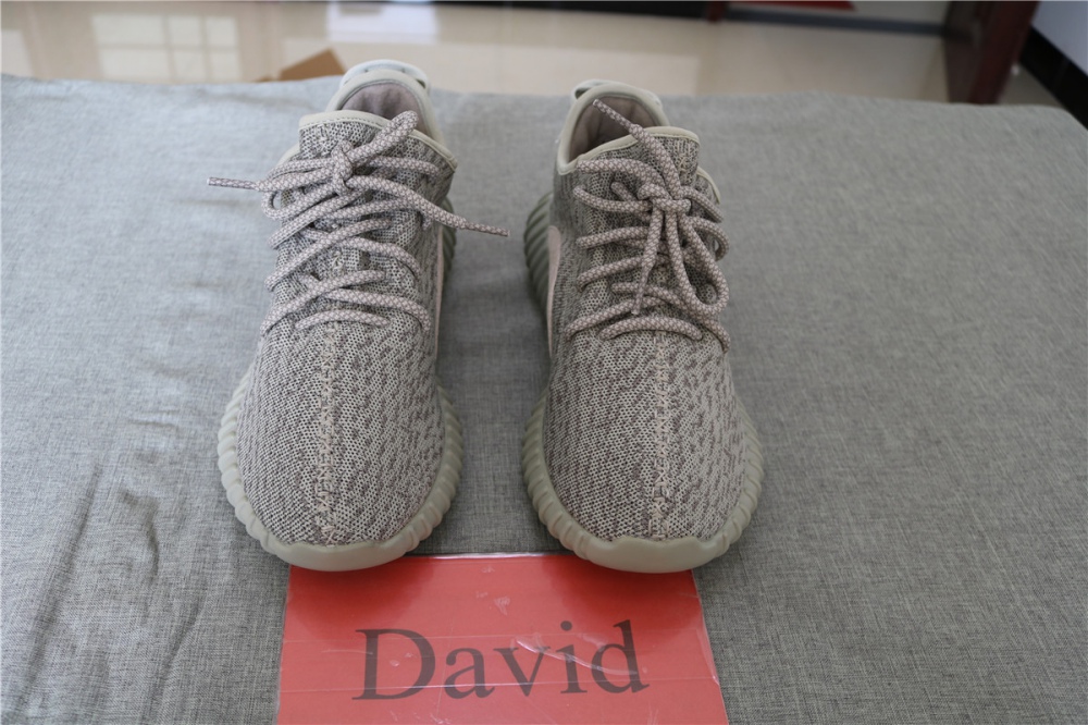 Adidas Yeezy 350 Boost Moonrock