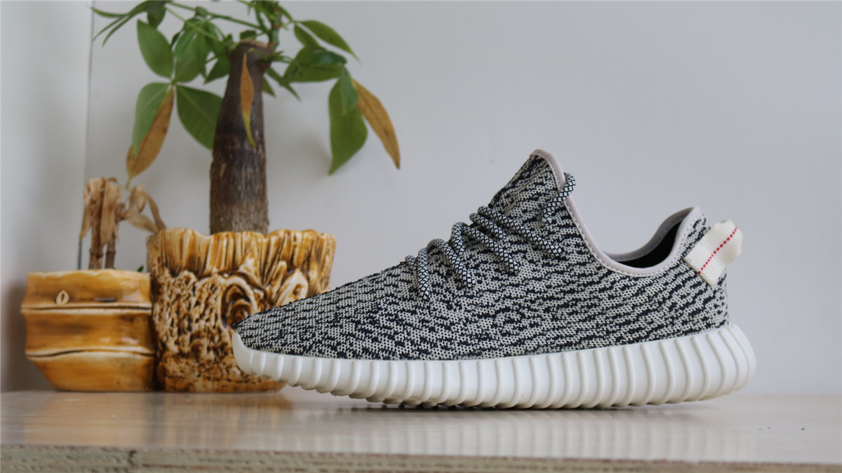 10th Version Adidas Yeezy 350 Boost Turtle Dove