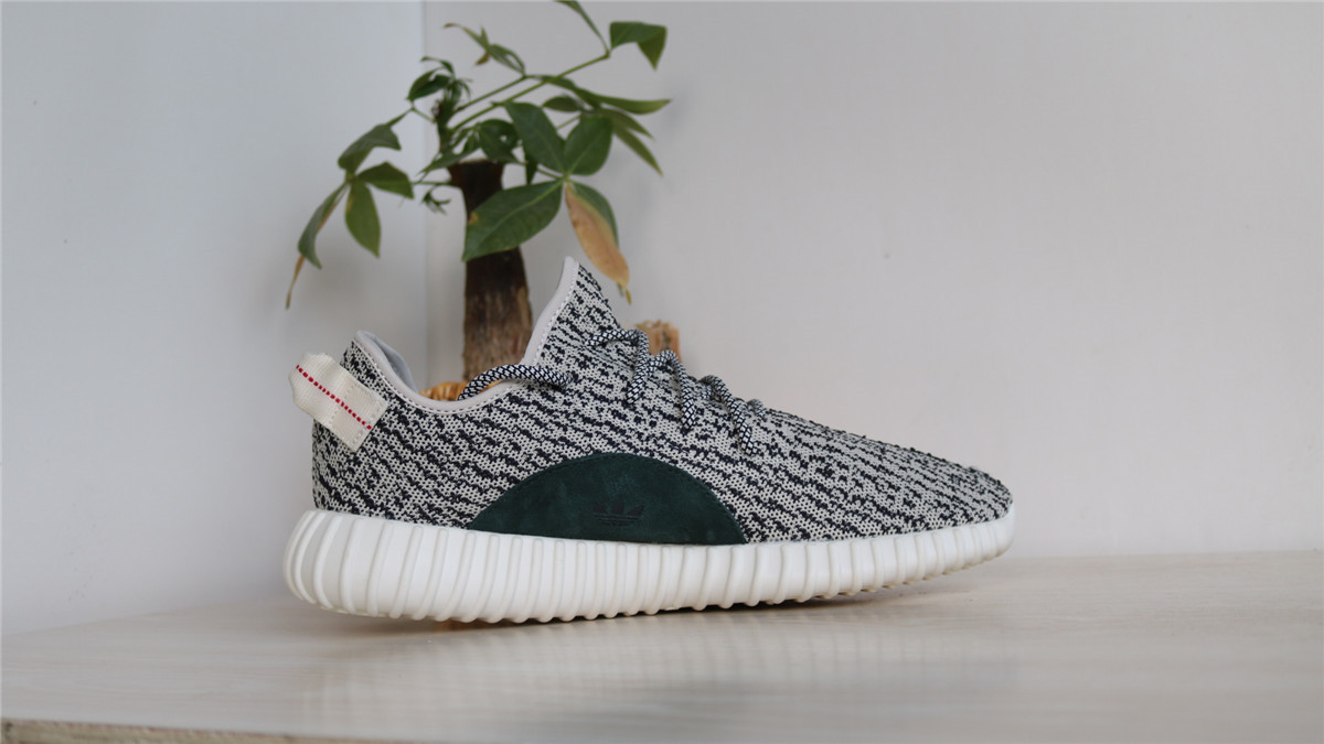 10th Version Adidas Yeezy 350 Boost Turtle Dove
