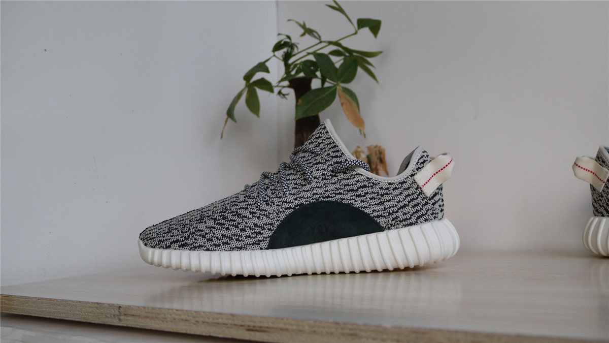 10th Version Adidas Yeezy 350 Boost Turtle Dove