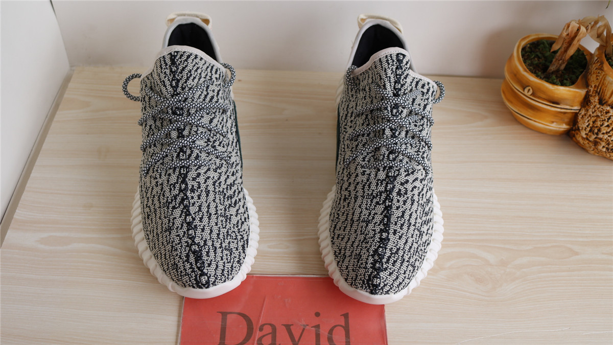 10th Version Adidas Yeezy 350 Boost Turtle Dove