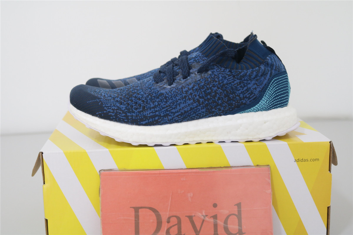 Adidas Ultraboost Uncaged Parley Blue