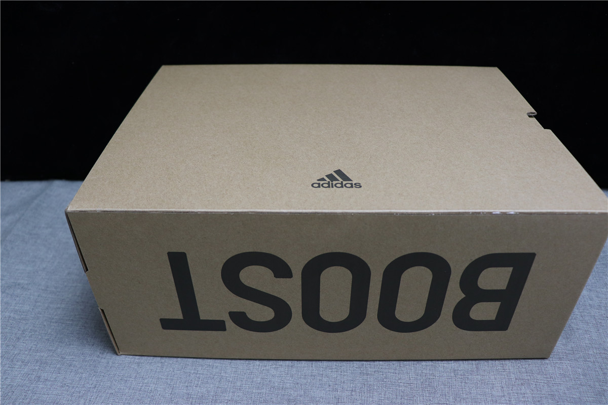 Authentic Adidas Yeezy 700 Wave Runner