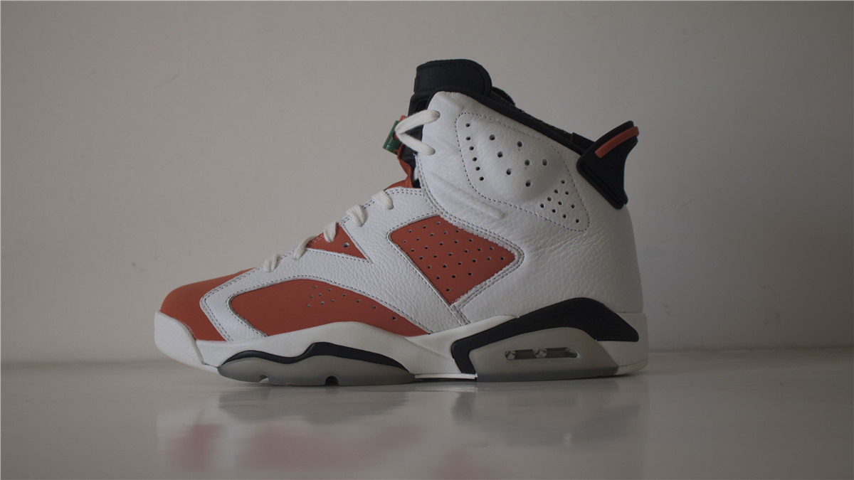 Air Jordan 6 Gatorade