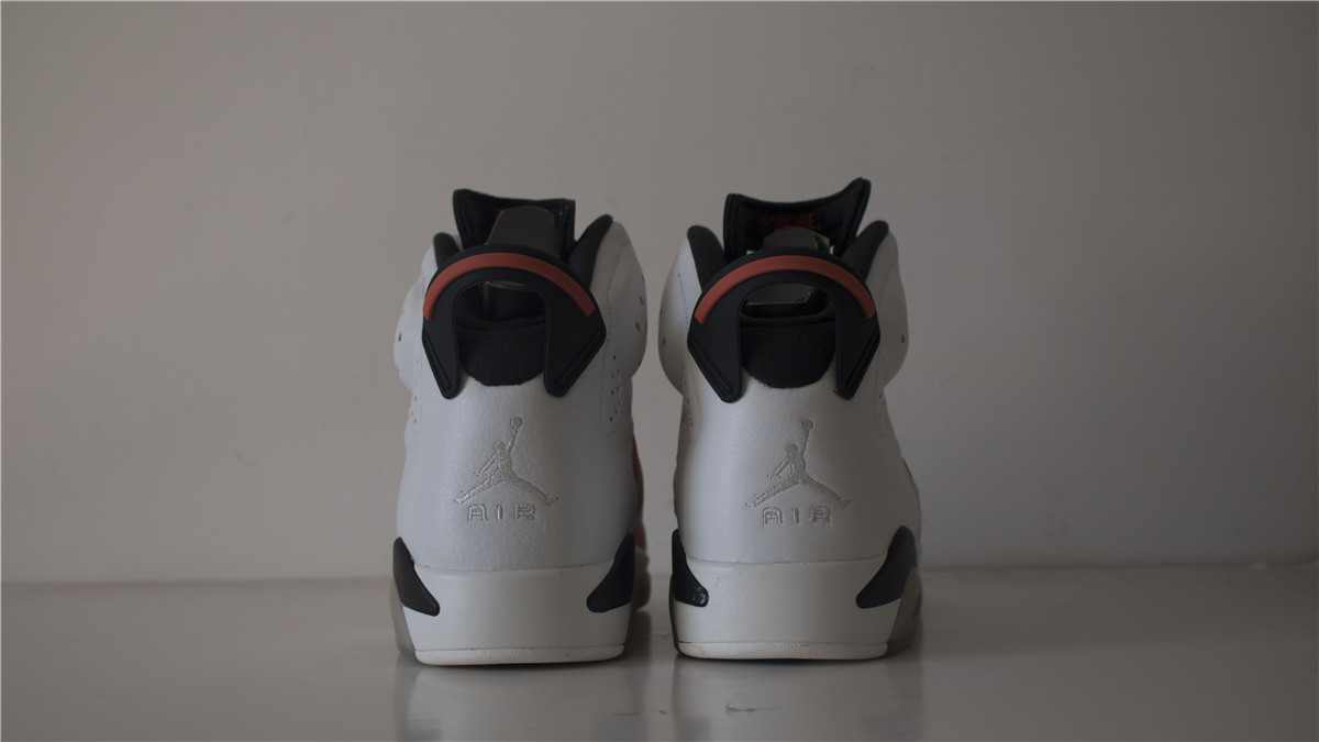 Air Jordan 6 Gatorade