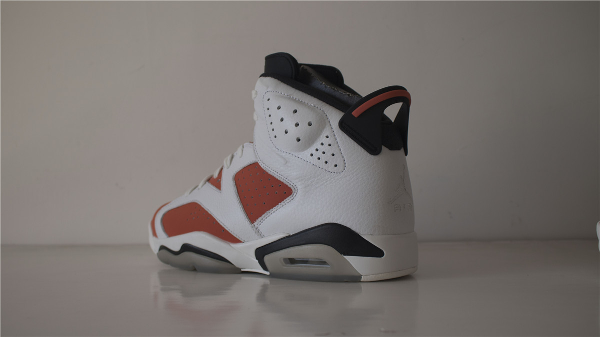 Air Jordan 6 Gatorade