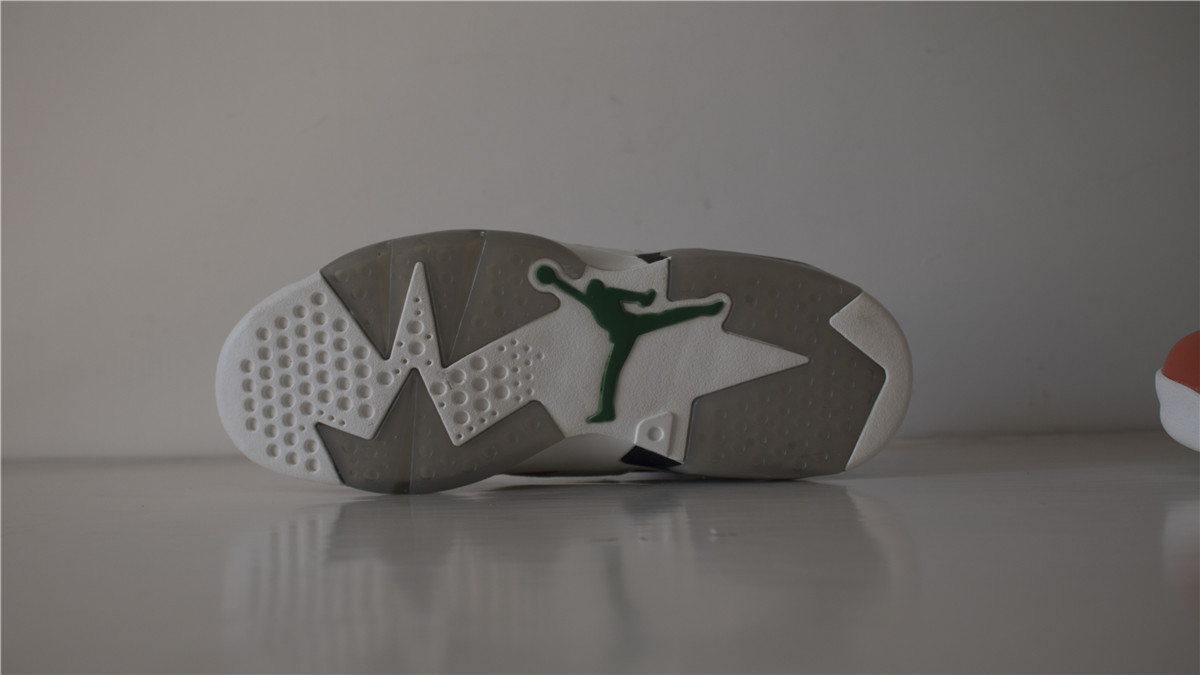 Air Jordan 6 Gatorade