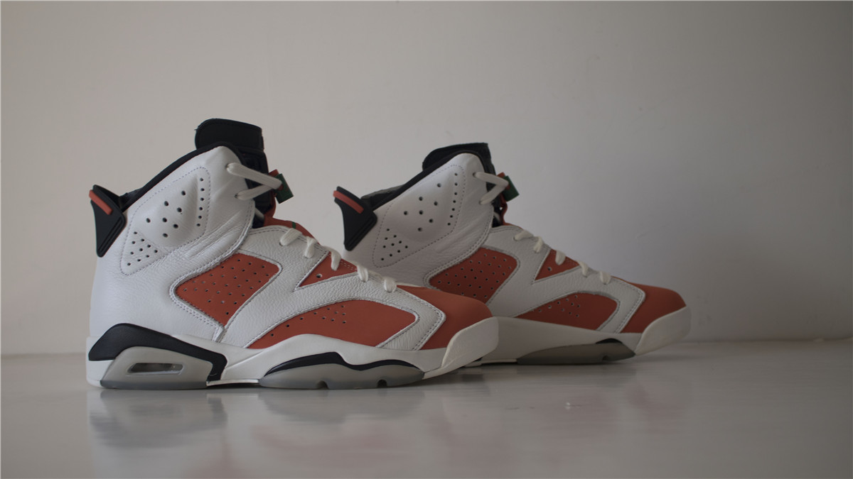 Air Jordan 6 Gatorade