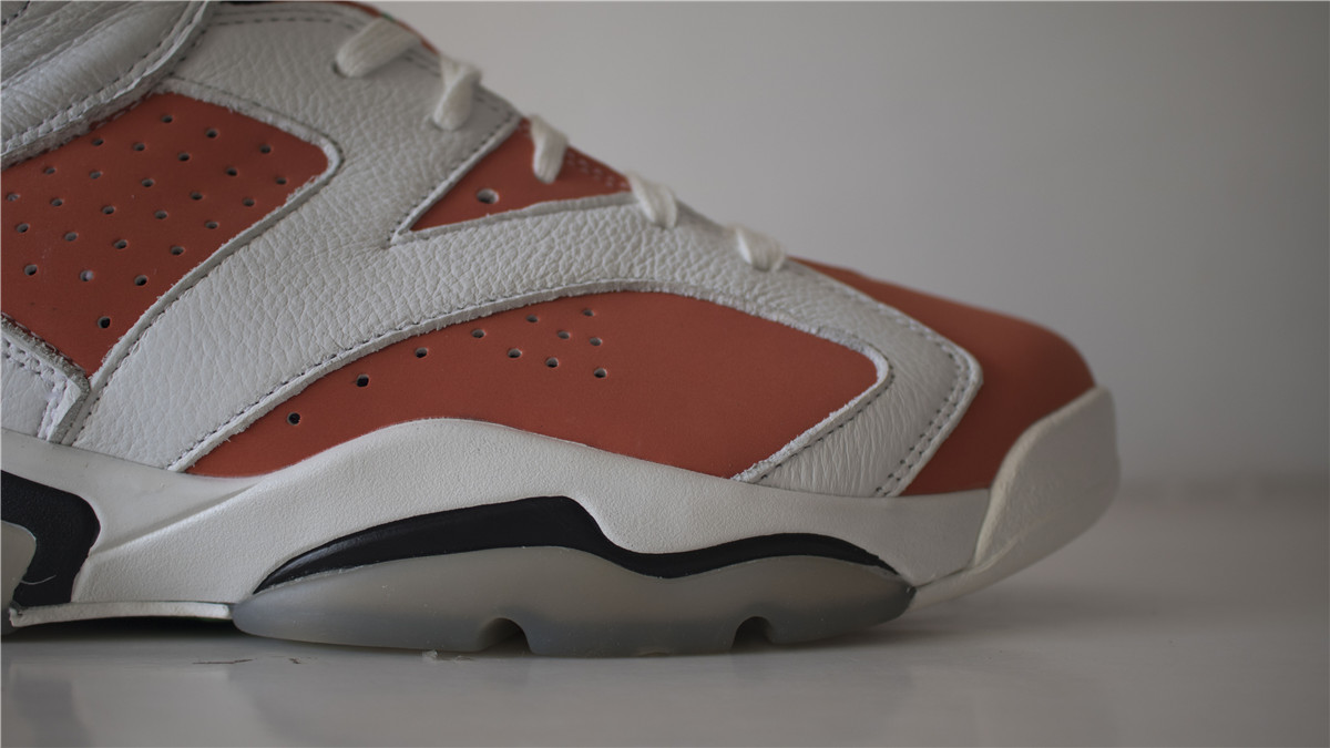 Air Jordan 6 Gatorade