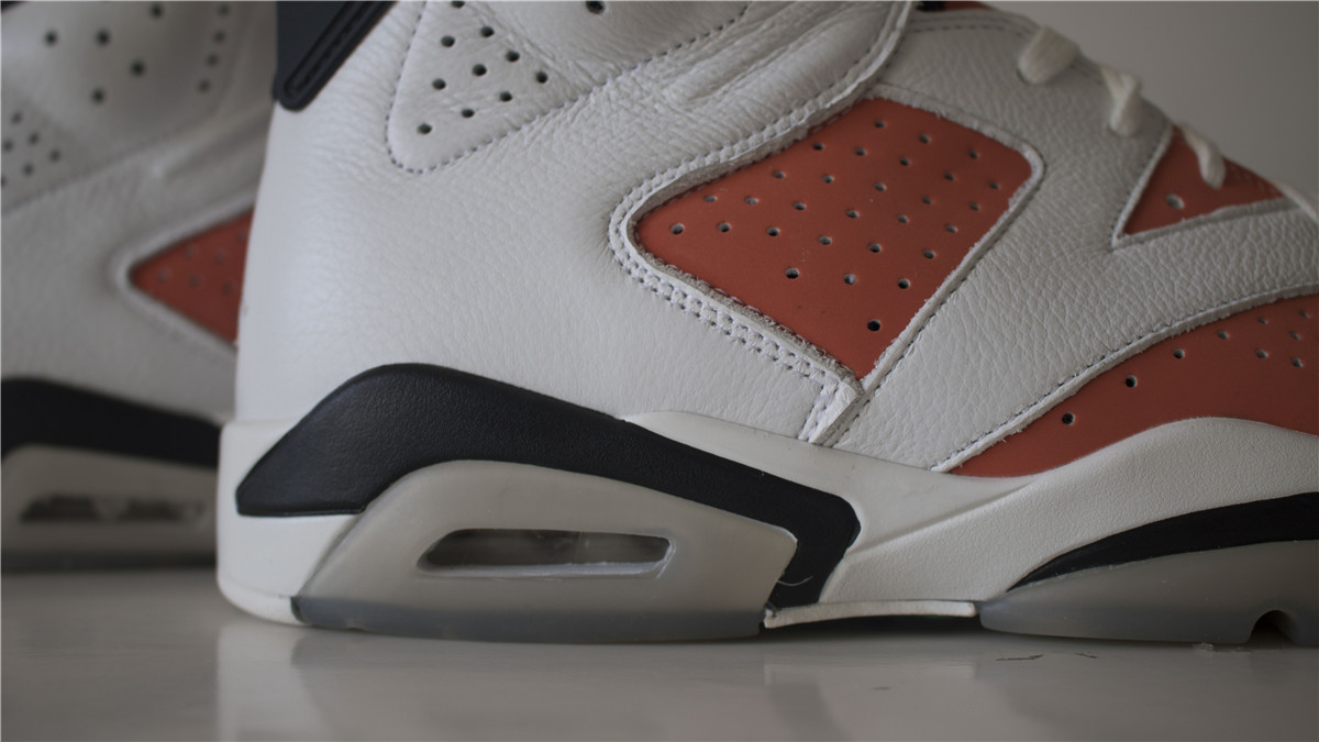 Air Jordan 6 Gatorade