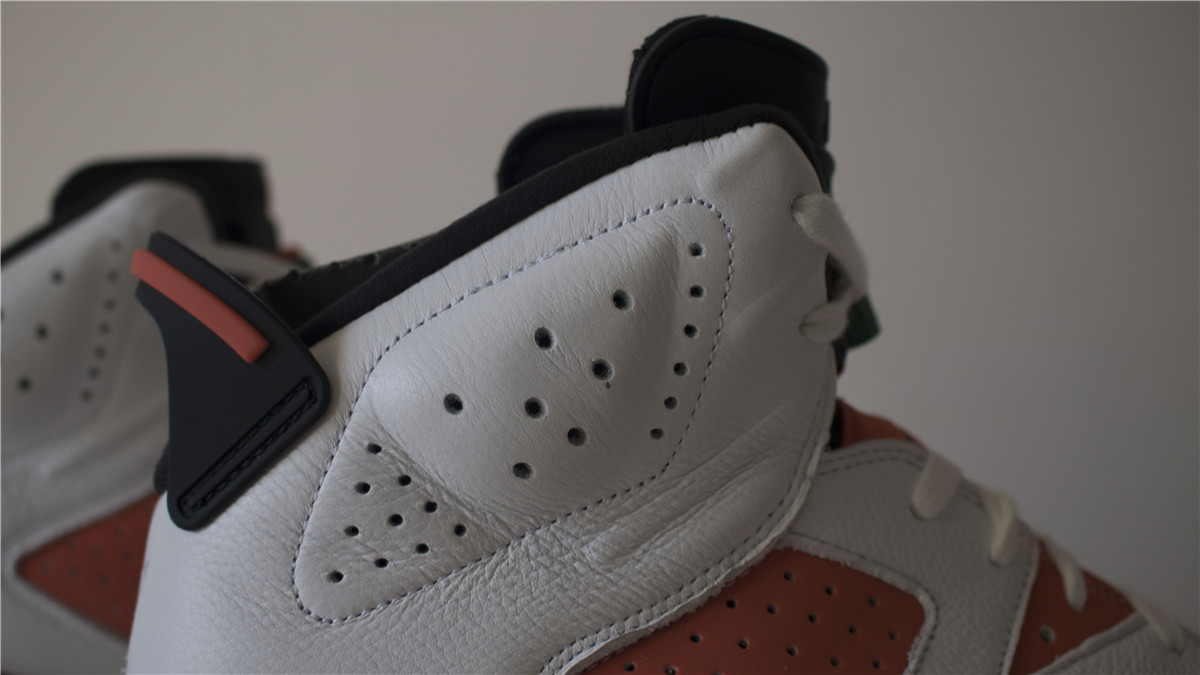 Air Jordan 6 Gatorade