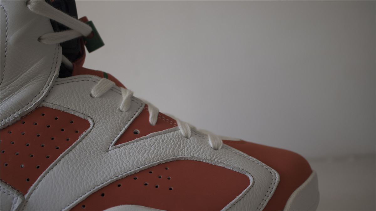 Air Jordan 6 Gatorade