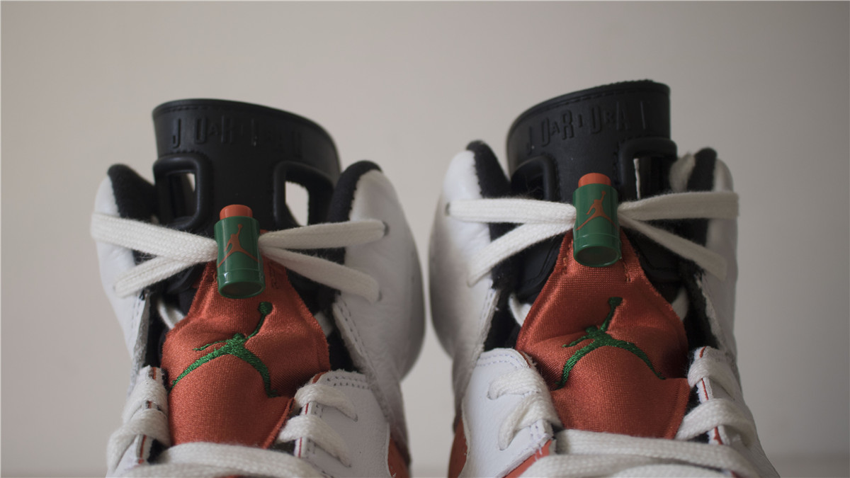 Air Jordan 6 Gatorade