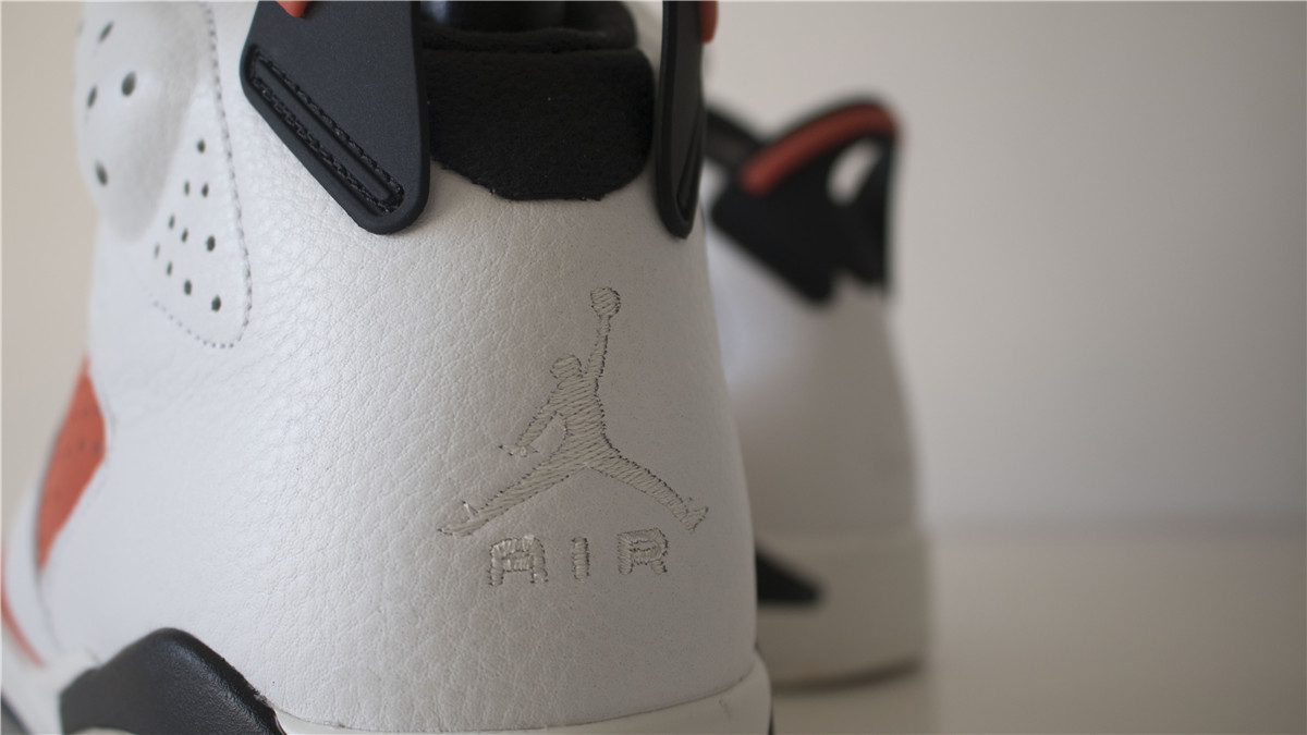 Air Jordan 6 Gatorade