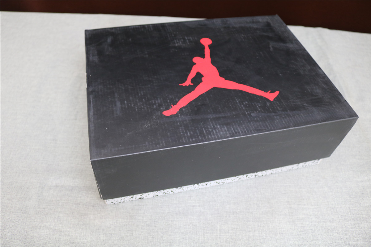 Air Jordan 6 384664-023