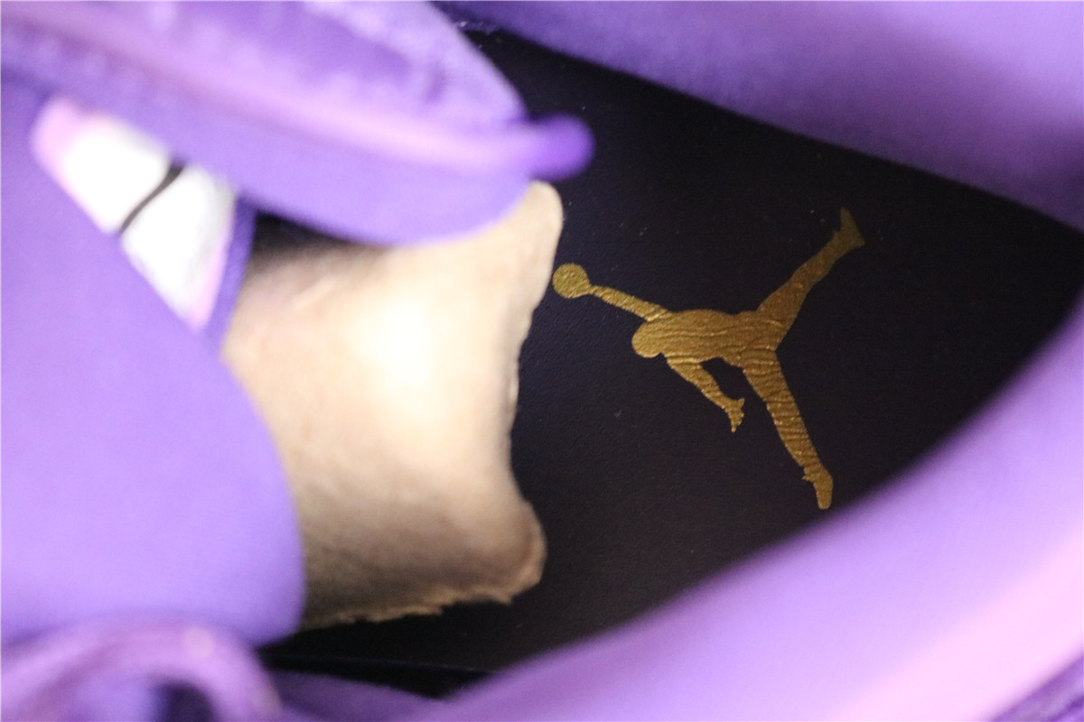 Air Jordan 1 (Royal Purple Velvet)