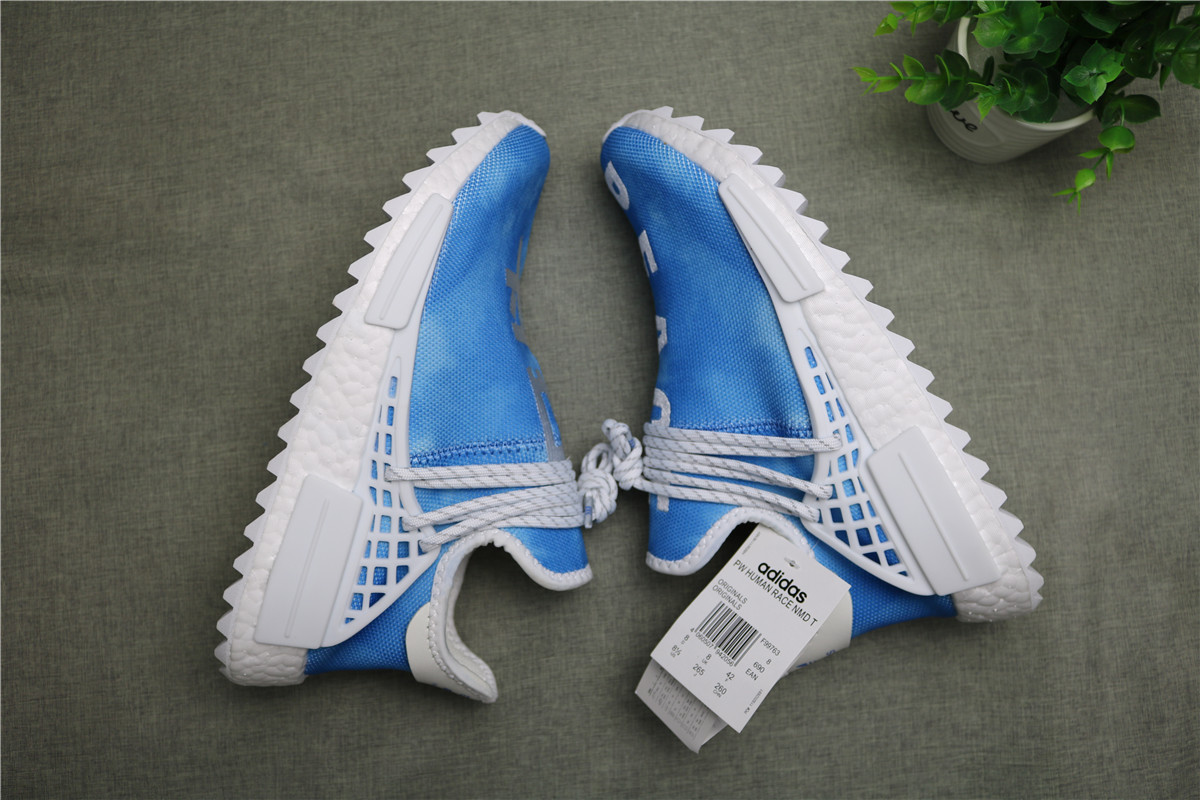 Adidas Human Race NMD Blue