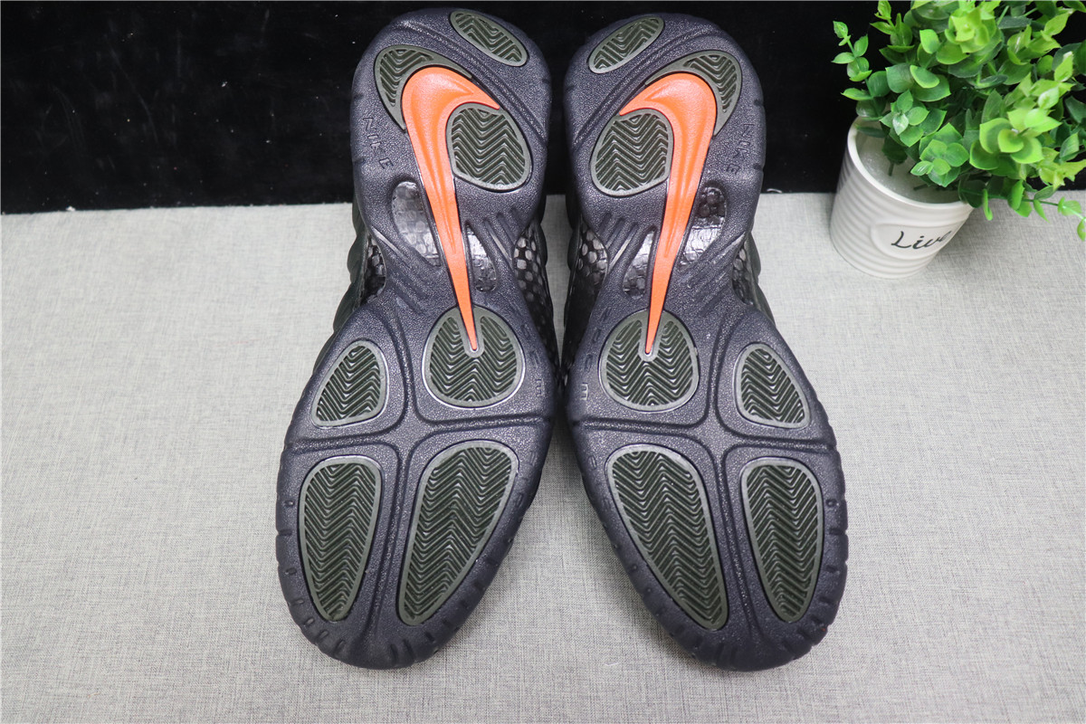 Air Foamposite Pro Sequoia