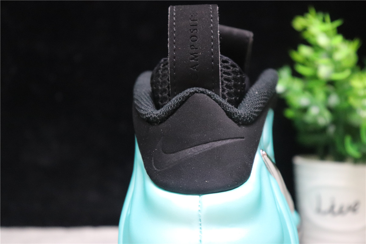 Air Nike Foamposite Pro Island Green