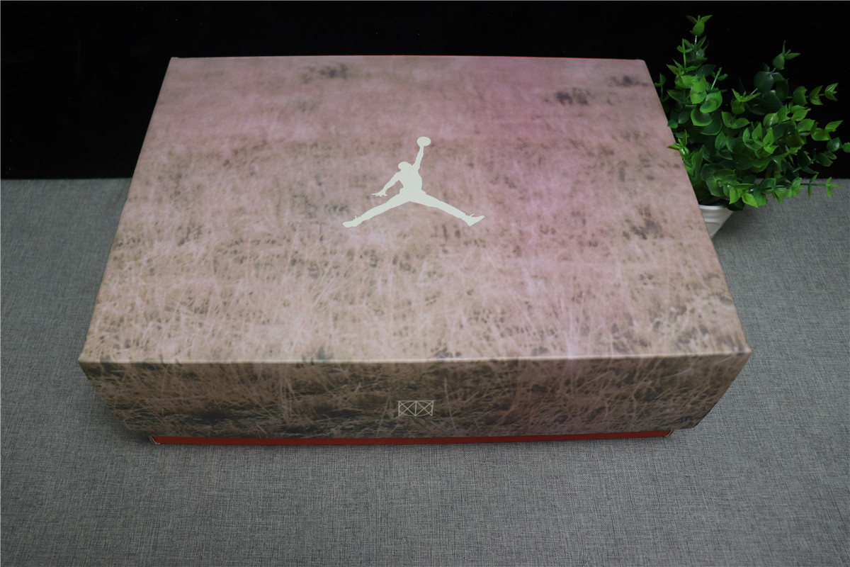 Jordan 3 Retro Jth Bio Beige
