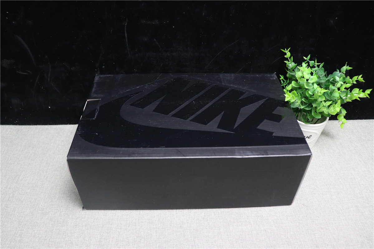 Air Max 1 Atmos Animal Pack 2.0 (2018 All Black Box)