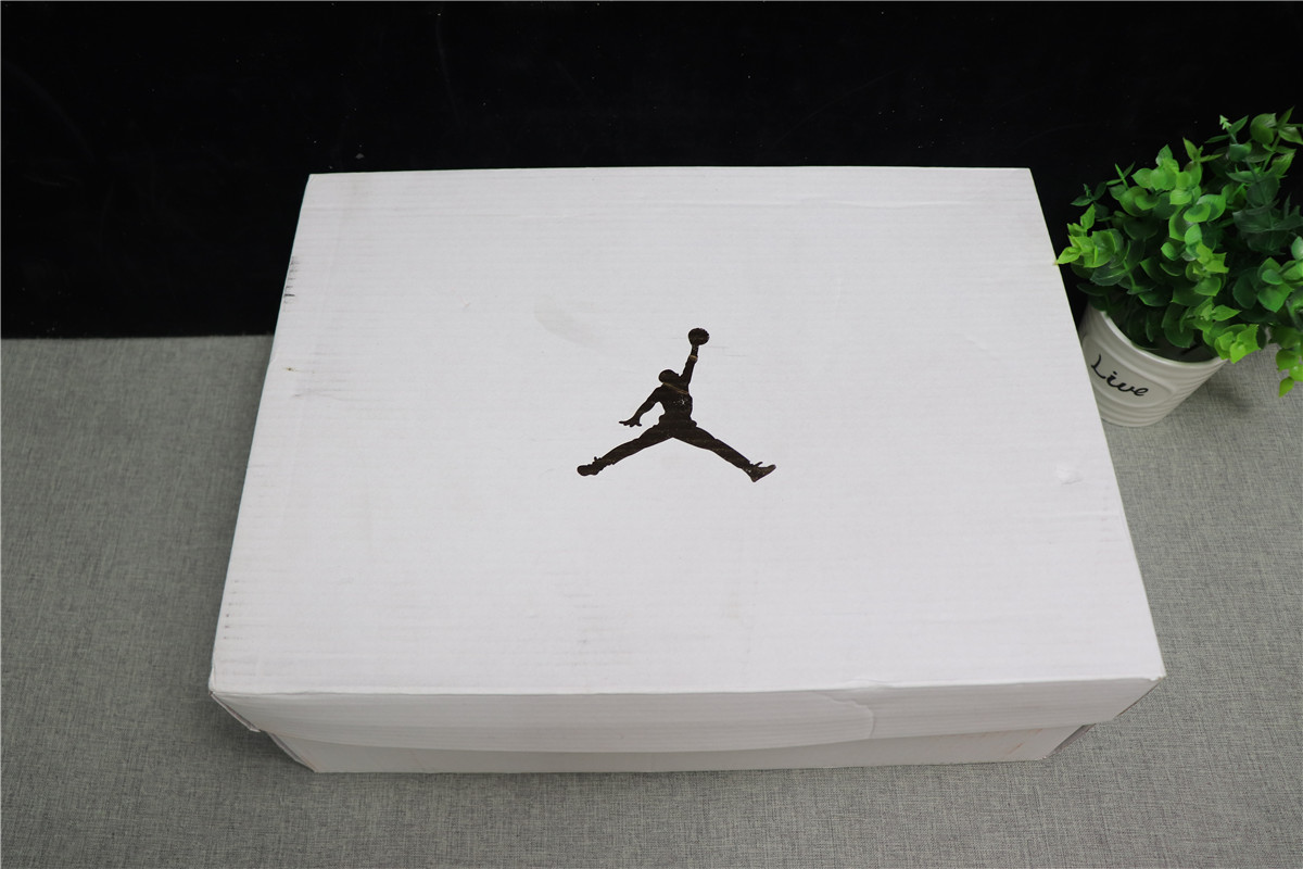 Authentic Air Jordan 12s OVO