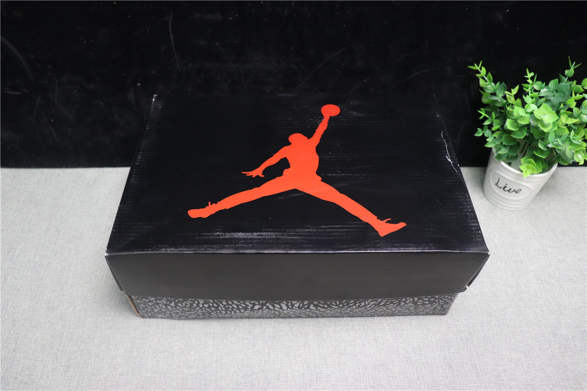 Jordan 3 Retro Michigan Pe