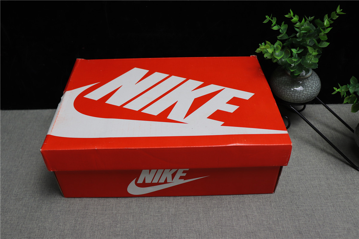 Air Max 1 Atmos Elephant